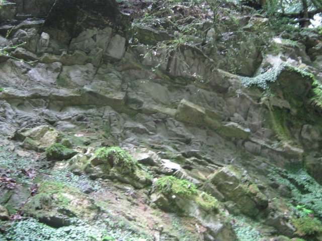 33-site59