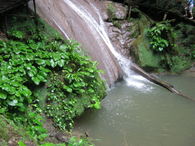 33-site60