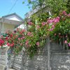 DSCN1685