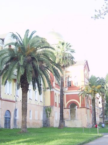 new-athos26