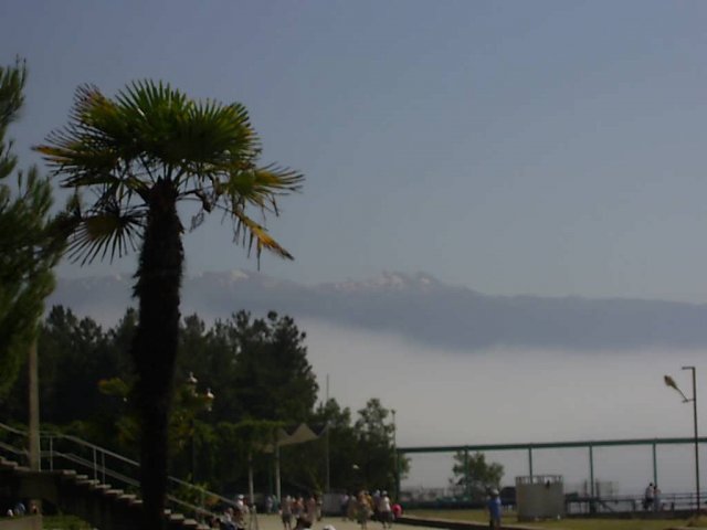 pitsunda12