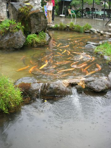 чистейшая речная вода
