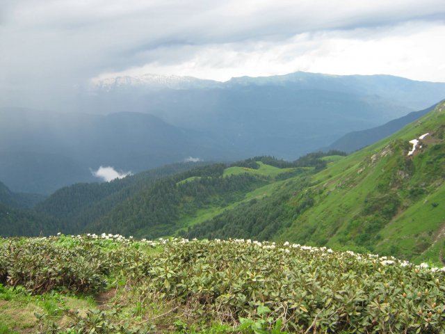 krasnaya-polyana127