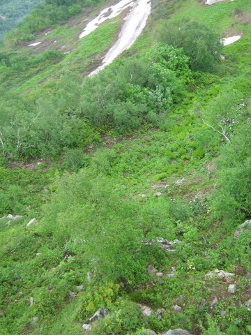 krasnaya-polyana135