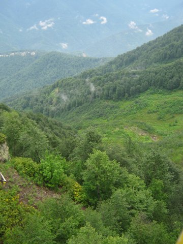 krasnaya-polyana147