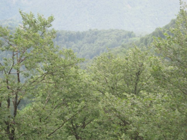 krasnaya-polyana159