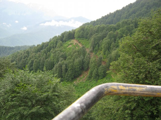 krasnaya-polyana176