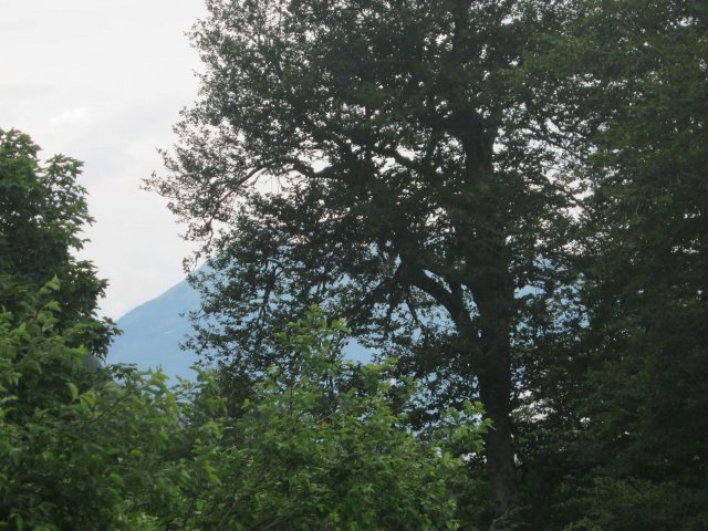 krasnaya-polyana183